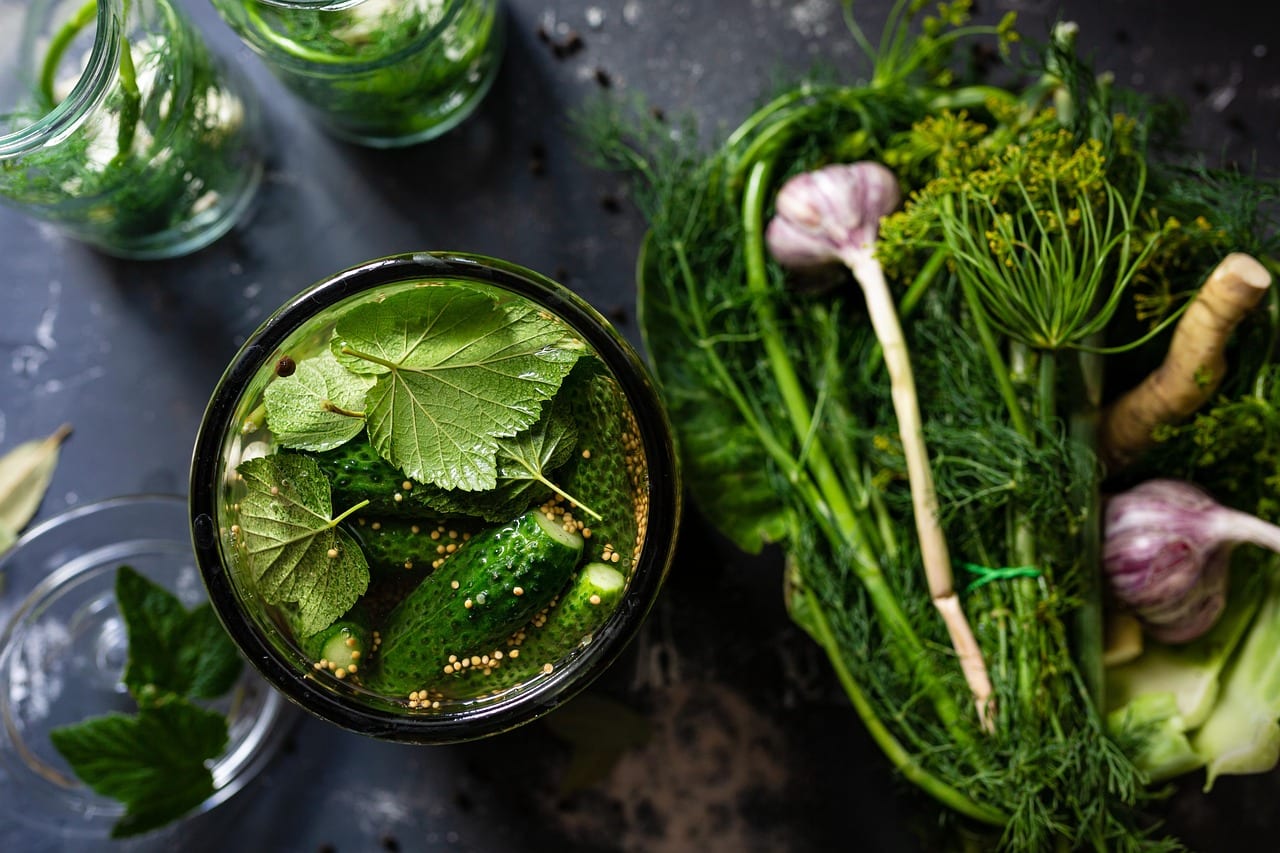 pickled, cucumbers, vegetable, leaves, water, jar, pickle, dill, garlic, organic, food, preservation, healthy, nutrition