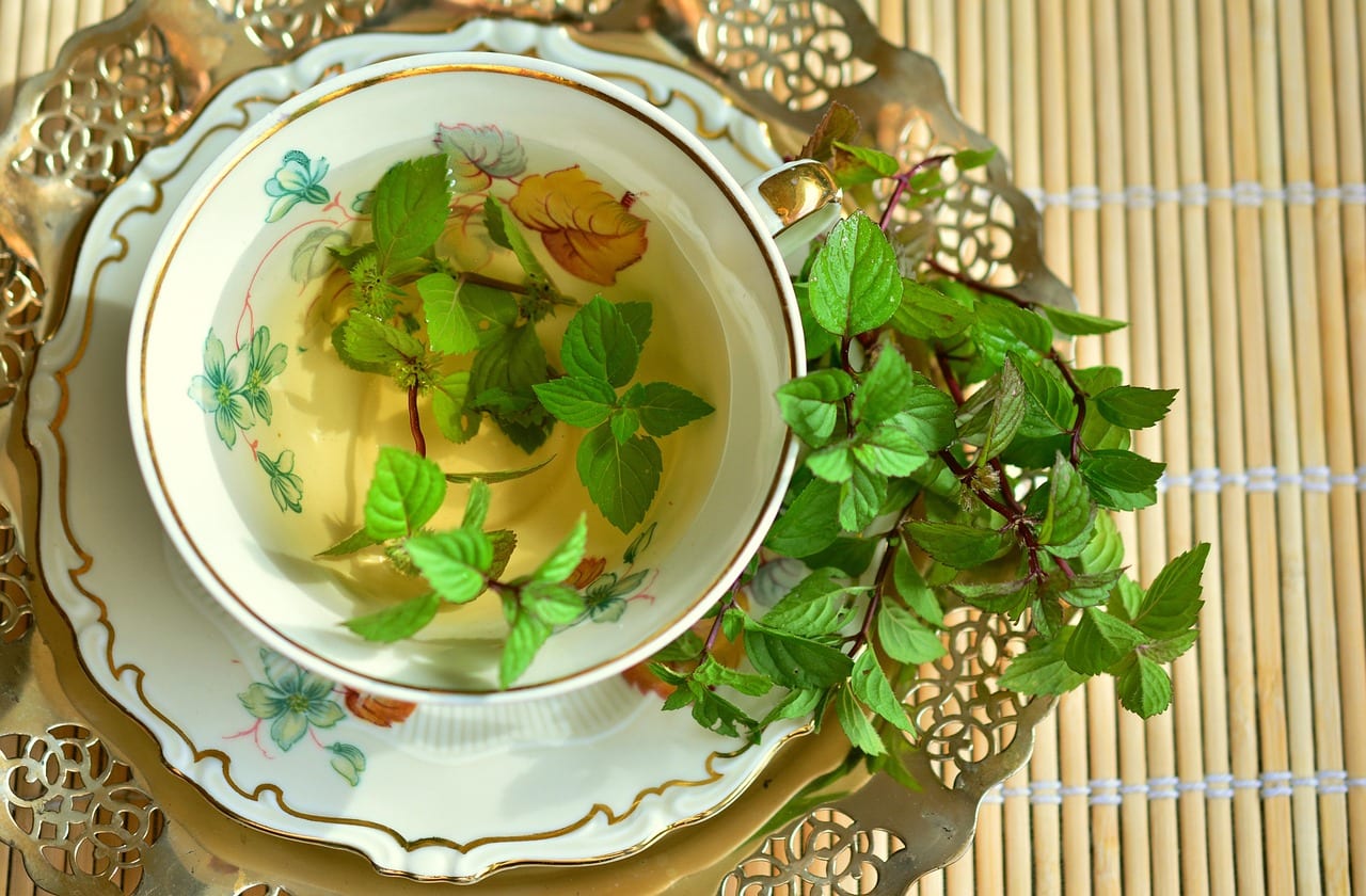peppermint, peppermint tea, mint, tea, leaves, medicinal herbs, tea herbs, herbal plant, culinary herbs, healthy, medicinal plant, drink, green mint, health, healing, nature, herbs, aroma, taste, cup, dishes, cover, gold rim