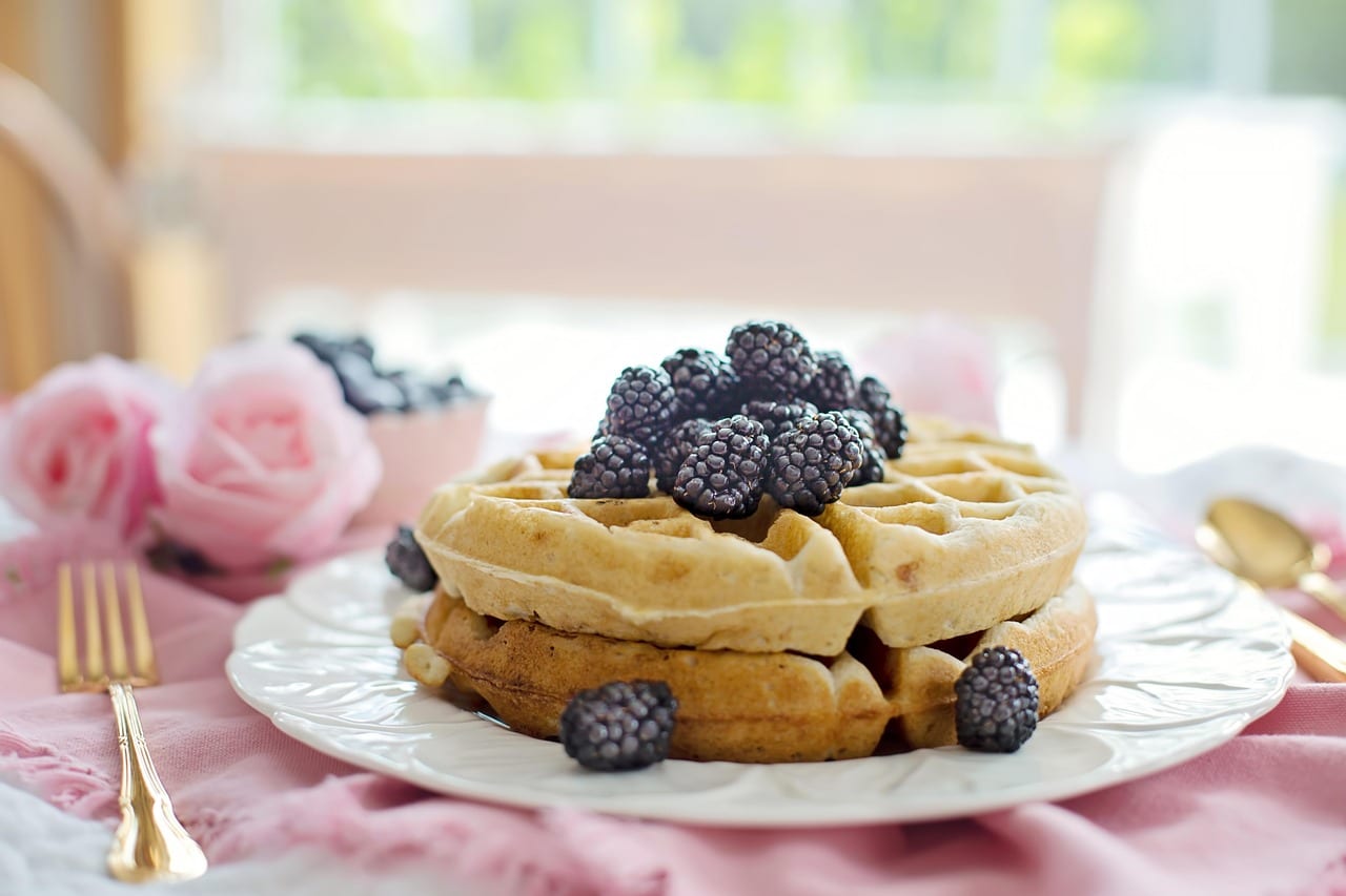 waffles, breakfast, morning, berries, blackberries, food, sweet, tasty, delicious, belgian, fresh