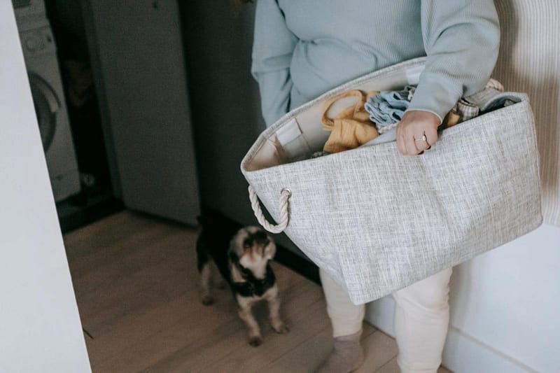 a woman is holding a laundry basket full of clothes while a dog looks on